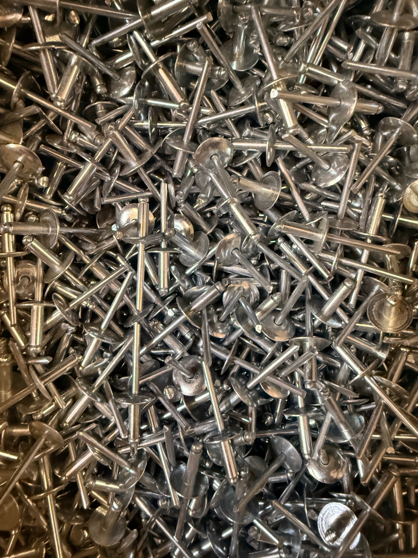 Large flange blind rivets
